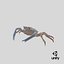 3D decorator spider crab