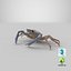 3D decorator spider crab