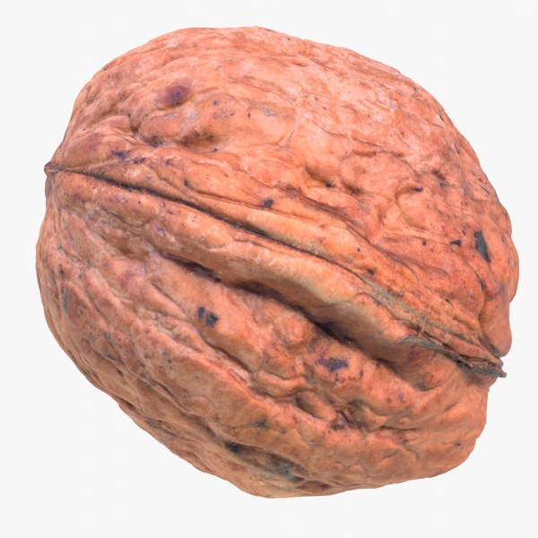 3D Walnut fruit 03 high-poly 3D model