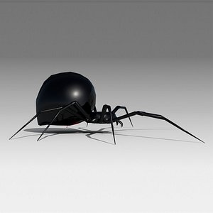 Black widow