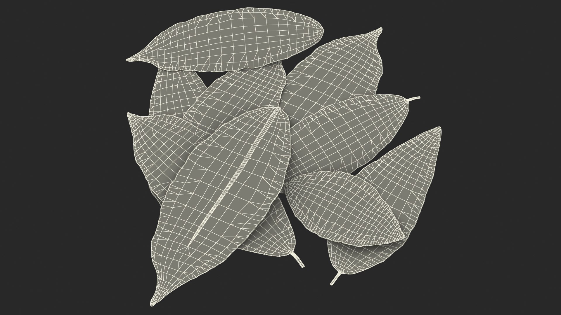 dry laurel leaves 3D model https://p.turbosquid.com/ts-thumb/wb/kEPG7U/3E/drylaurelleavesc4dmodel026/jpg/1612031159/1920x1080/fit_q87/6c1608a9ff81fc09e0fec765106c95175c971b3f/drylaurelleavesc4dmodel026.jpg