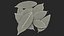 Dry Laurel Leaves