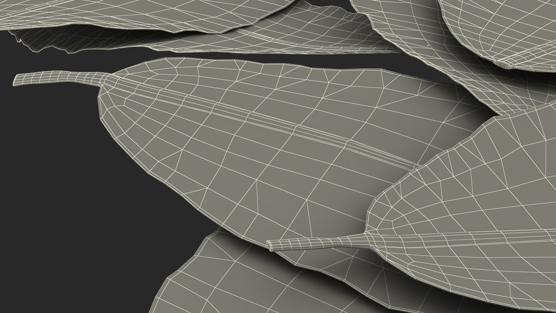 dry laurel leaves 3D model https://p.turbosquid.com/ts-thumb/wb/kEPG7U/7j/drylaurelleavesc4dmodel028/jpg/1612031166/1920x1080/fit_q87/a049a28361f9479d81788e5ca47eb58f7c0ca4b9/drylaurelleavesc4dmodel028.jpg