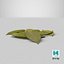 Dry Laurel Leaves