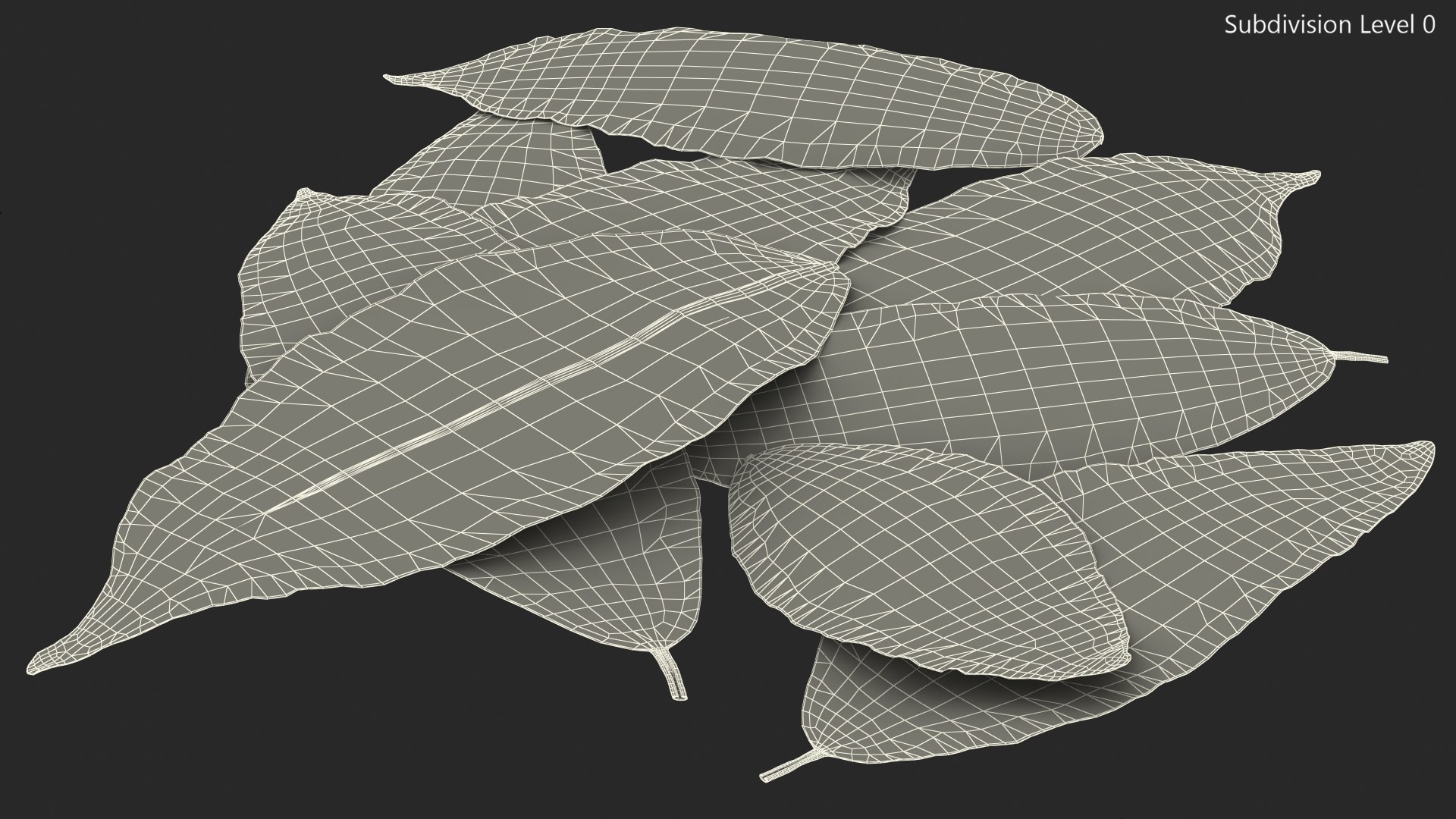 dry laurel leaves 3D model https://p.turbosquid.com/ts-thumb/wb/kEPG7U/Ca/drylaurelleavesc4dmodel020/jpg/1612031142/1920x1080/fit_q87/c1805ba4b36d5e31193080089e4206b1440c413b/drylaurelleavesc4dmodel020.jpg