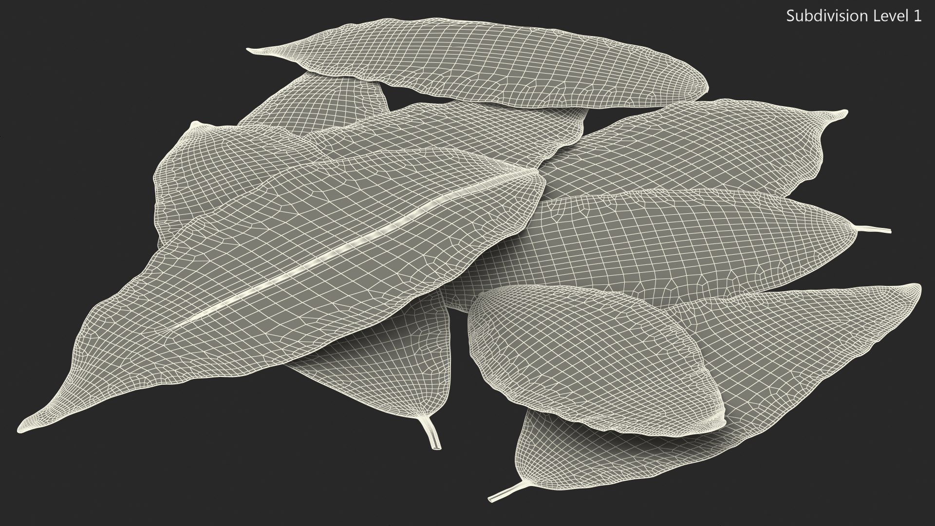 dry laurel leaves 3D model https://p.turbosquid.com/ts-thumb/wb/kEPG7U/GC/drylaurelleavesc4dmodel021/jpg/1612031145/1920x1080/fit_q87/8cb3e6f6f9c9f9f3e6a4f8617bc6e1daa77fbb68/drylaurelleavesc4dmodel021.jpg