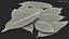Dry Laurel Leaves