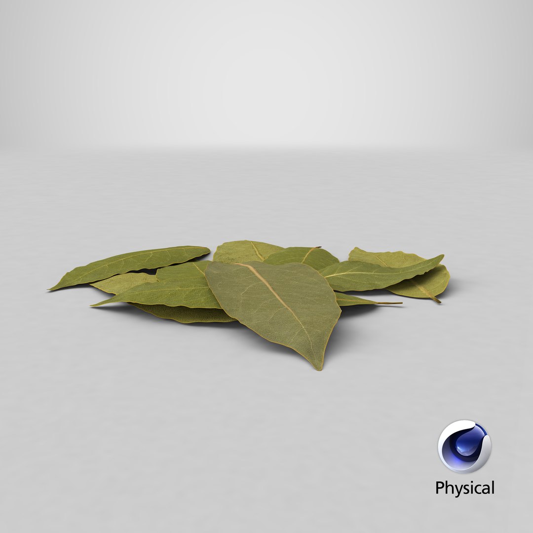 dry laurel leaves 3D model https://p.turbosquid.com/ts-thumb/wb/kEPG7U/Hb/stemcell_cinema_4d_physical_render/png/1644943582/1920x1080/fit_q87/ede023b64dbb584ed61d6b3c17b22527b8a1c9f1/stemcell_cinema_4d_physical_render.jpg