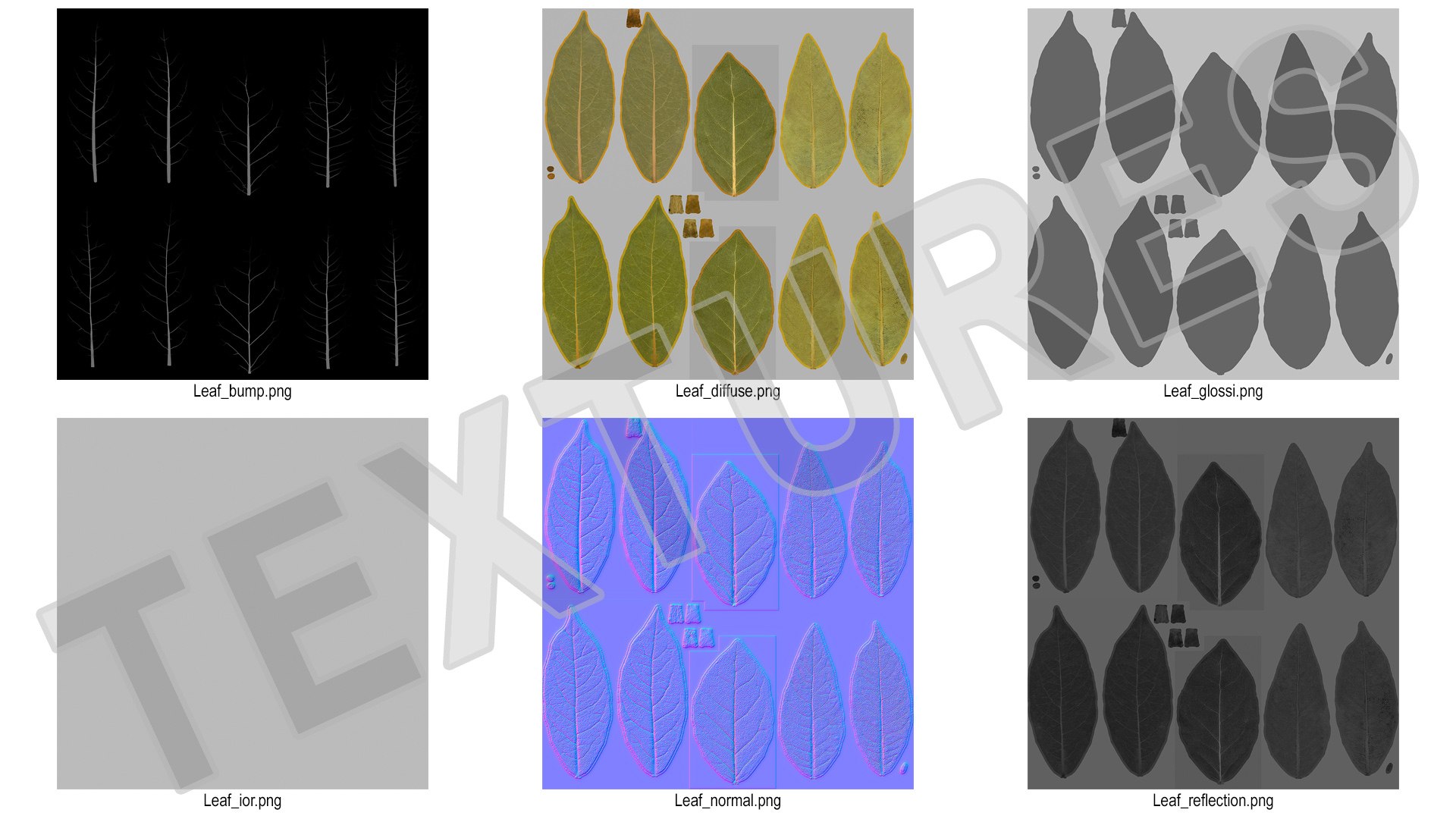 dry laurel leaves 3D model https://p.turbosquid.com/ts-thumb/wb/kEPG7U/O1/drylaurelleavesc4dmodel023/jpg/1612031150/1920x1080/fit_q87/55abfff189beb191d879c7725973c49adf9ce7f7/drylaurelleavesc4dmodel023.jpg