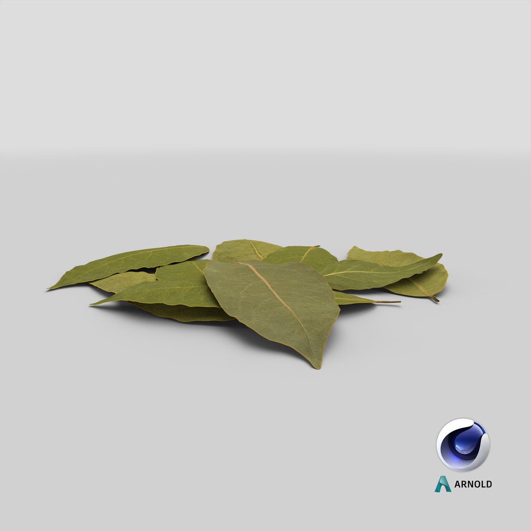 dry laurel leaves 3D model https://p.turbosquid.com/ts-thumb/wb/kEPG7U/UH/stemcell_cinema_4d_arnold_render/png/1644943583/1920x1080/fit_q87/96635effcacaf6dabf959ec0370406ec0d9159b3/stemcell_cinema_4d_arnold_render.jpg