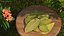 Dry Laurel Leaves