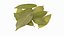 Dry Laurel Leaves
