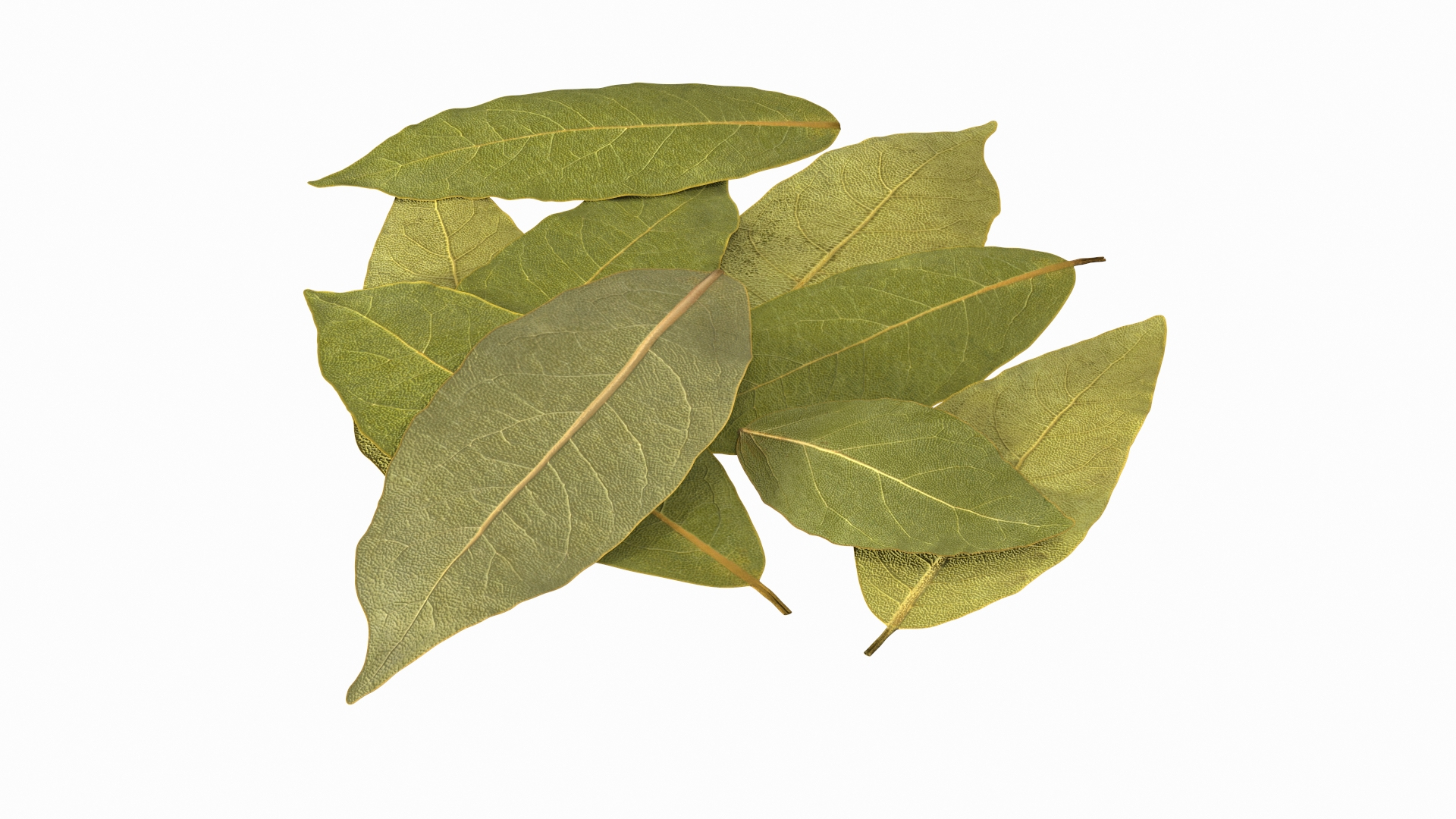 dry laurel leaves 3D model https://p.turbosquid.com/ts-thumb/wb/kEPG7U/aG/dry_laurel_leaves_360/jpg/1612030776/1920x1080/turn_fit_q99/2b6a98d74d79f018020c7ab44dd776ece0410417/dry_laurel_leaves_360-1.jpg