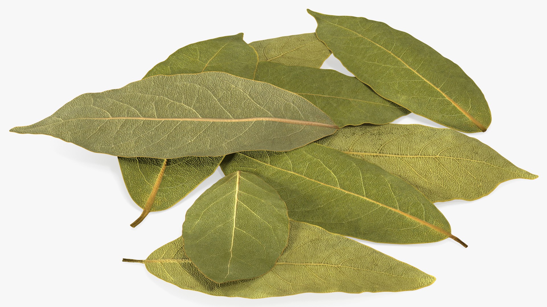dry laurel leaves 3D model https://p.turbosquid.com/ts-thumb/wb/kEPG7U/f3/drylaurelleavesc4dmodel007/jpg/1612031106/1920x1080/fit_q87/c8e599d8f4a136560409bd5d47bbcc766257ac95/drylaurelleavesc4dmodel007.jpg