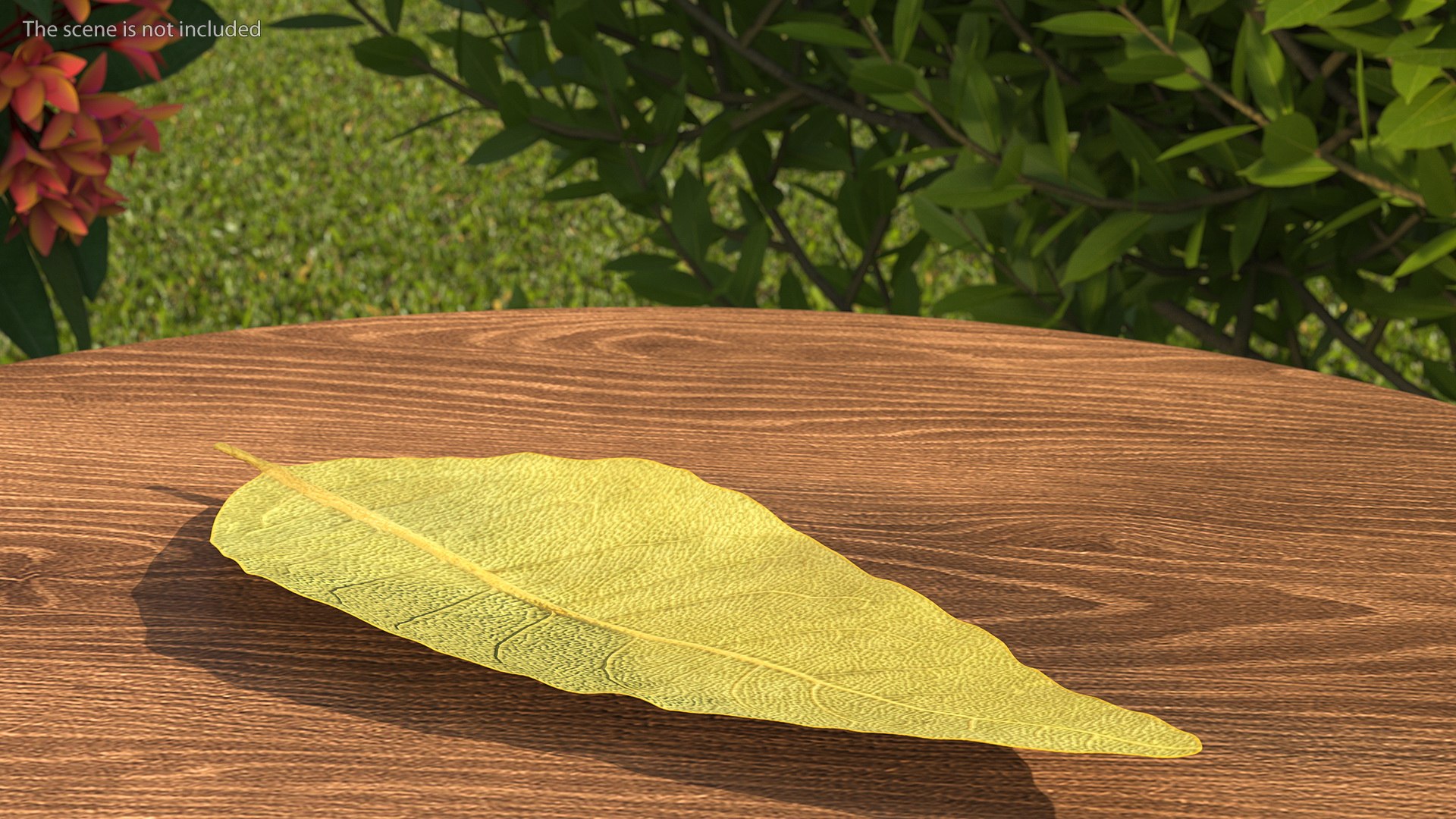 dry laurel leaves 3D model https://p.turbosquid.com/ts-thumb/wb/kEPG7U/fm/drylaurelleavesc4dmodel005/jpg/1612031099/1920x1080/fit_q87/440a250029f2ecb40a93b64e507c9fe07a2f3918/drylaurelleavesc4dmodel005.jpg