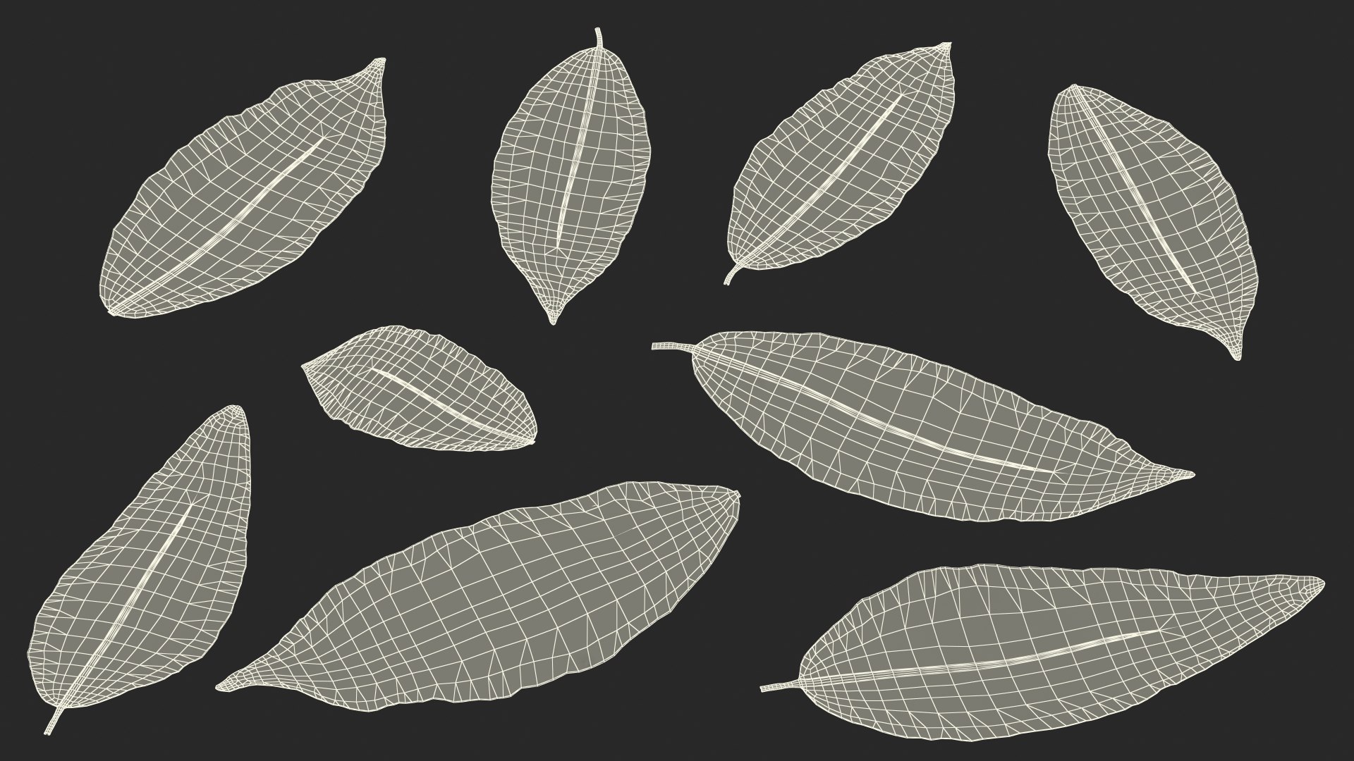 dry laurel leaves 3D model https://p.turbosquid.com/ts-thumb/wb/kEPG7U/gE/drylaurelleavesc4dmodel025/jpg/1612031156/1920x1080/fit_q87/7d5b0251214661eea7f66dd2c3f463b9178b0983/drylaurelleavesc4dmodel025.jpg