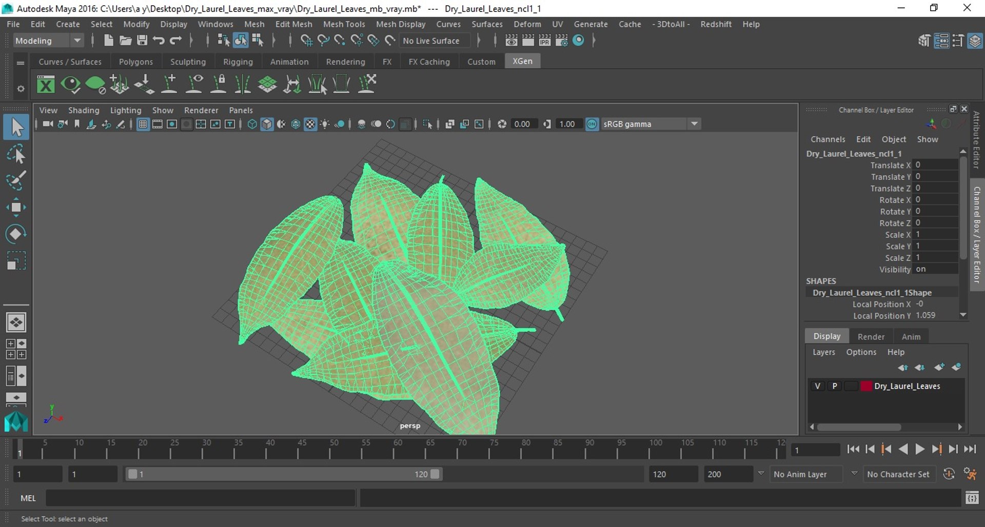 dry laurel leaves 3D model https://p.turbosquid.com/ts-thumb/wb/kEPG7U/gL/drylaurelleavesc4dmodel017/jpg/1612031134/1920x1080/fit_q87/9c4f5f09b064986ddeb0a61e3307170b1bef0063/drylaurelleavesc4dmodel017.jpg