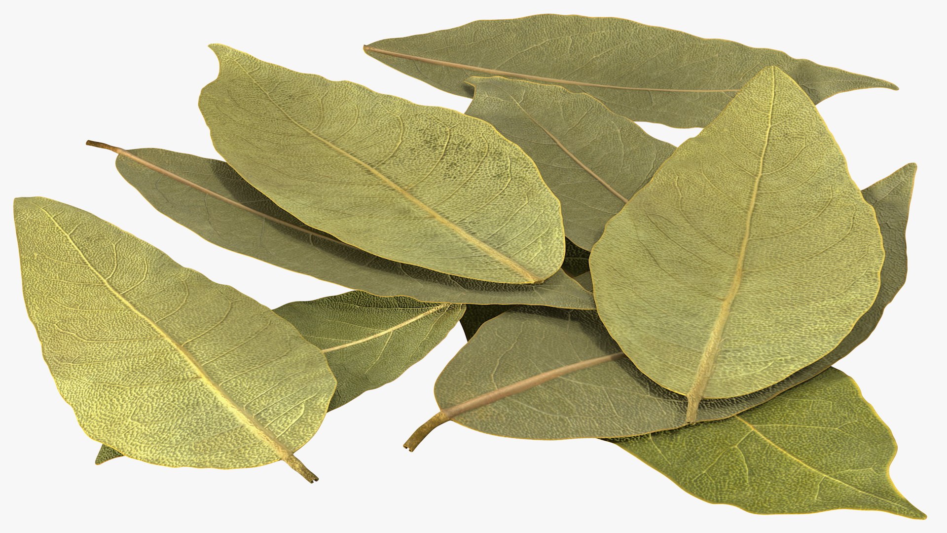 dry laurel leaves 3D model https://p.turbosquid.com/ts-thumb/wb/kEPG7U/hR/drylaurelleavesc4dmodel009/jpg/1612031112/1920x1080/fit_q87/41480335a2a8764f7659ad214ab0dea5a05c59ba/drylaurelleavesc4dmodel009.jpg