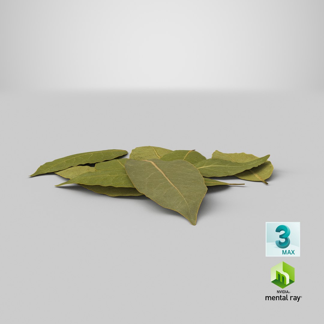 dry laurel leaves 3D model https://p.turbosquid.com/ts-thumb/wb/kEPG7U/he/stemcell_max_mental_ray_render/png/1644943589/1920x1080/fit_q87/5ba68e16283f19672248b673d1c5ee0a45a2aee5/stemcell_max_mental_ray_render.jpg