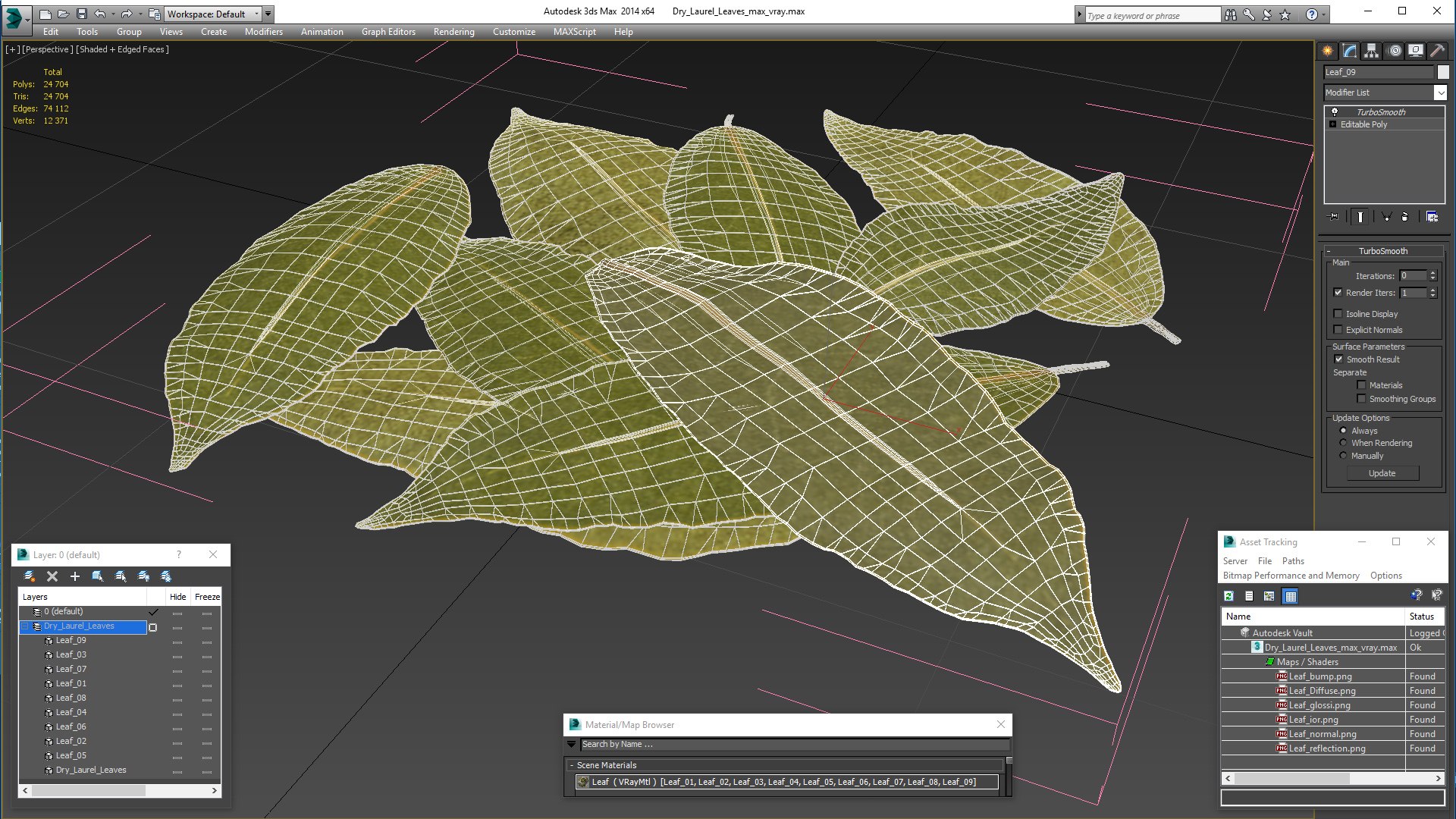 dry laurel leaves 3D model https://p.turbosquid.com/ts-thumb/wb/kEPG7U/mf/drylaurelleavesc4dmodel024/jpg/1612031153/1920x1080/fit_q87/7baad87e1018b2d4752daef4e1fcdf28ac244d2e/drylaurelleavesc4dmodel024.jpg