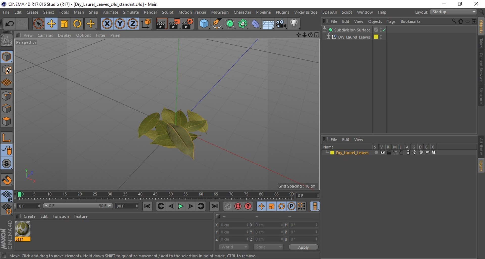 dry laurel leaves 3D model https://p.turbosquid.com/ts-thumb/wb/kEPG7U/p6/drylaurelleavesc4dmodel018/jpg/1612031136/1920x1080/fit_q87/b2449a9bb8ece96d11d28b409bd1b39d2fdb983f/drylaurelleavesc4dmodel018.jpg