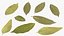 Dry Laurel Leaves