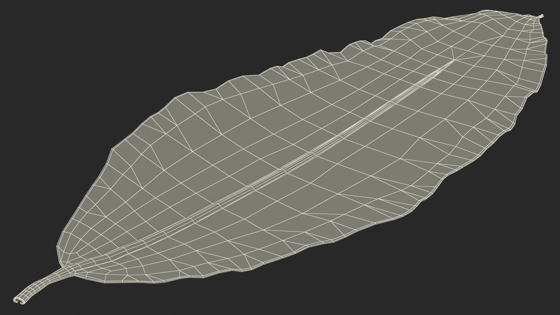 dry laurel leaves 3D model https://p.turbosquid.com/ts-thumb/wb/kEPG7U/tE/drylaurelleavesc4dmodel029/jpg/1612031169/1920x1080/fit_q87/a69690c4075e2f875aaa9506973a15415c27c903/drylaurelleavesc4dmodel029.jpg
