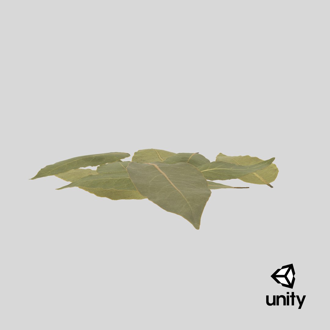 dry laurel leaves 3D model https://p.turbosquid.com/ts-thumb/wb/kEPG7U/ut/stemcell_unity_render/png/1644943585/1920x1080/fit_q87/78840dc6db9b66d20a92c1902c9a7e9ce954a6cf/stemcell_unity_render.jpg