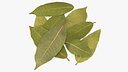 Dry Laurel Leaves