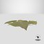 Dry Laurel Leaves