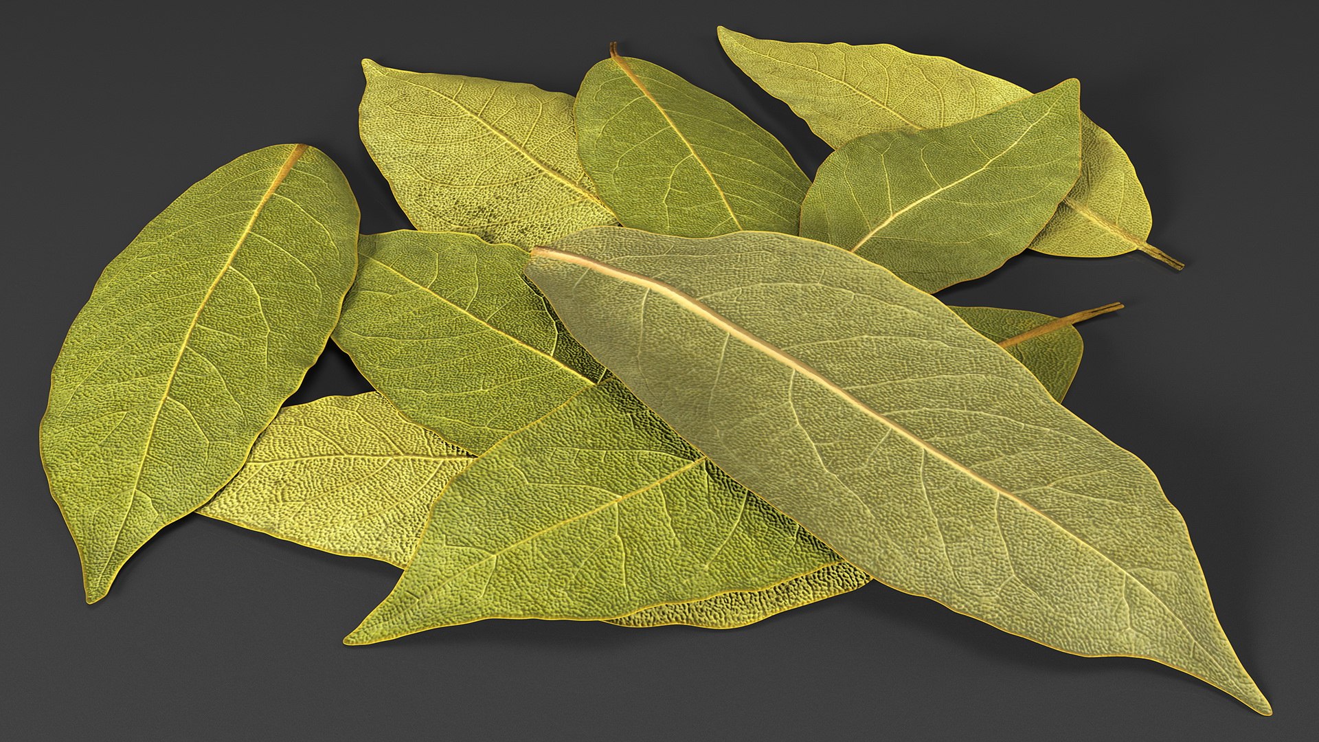 dry laurel leaves 3D model https://p.turbosquid.com/ts-thumb/wb/kEPG7U/zP/drylaurelleavesc4dmodel006/jpg/1612031102/1920x1080/fit_q87/00590eee849054a35a82e5963a6bba424b94d721/drylaurelleavesc4dmodel006.jpg
