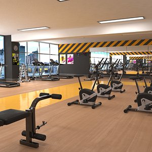 gym fitness weights model