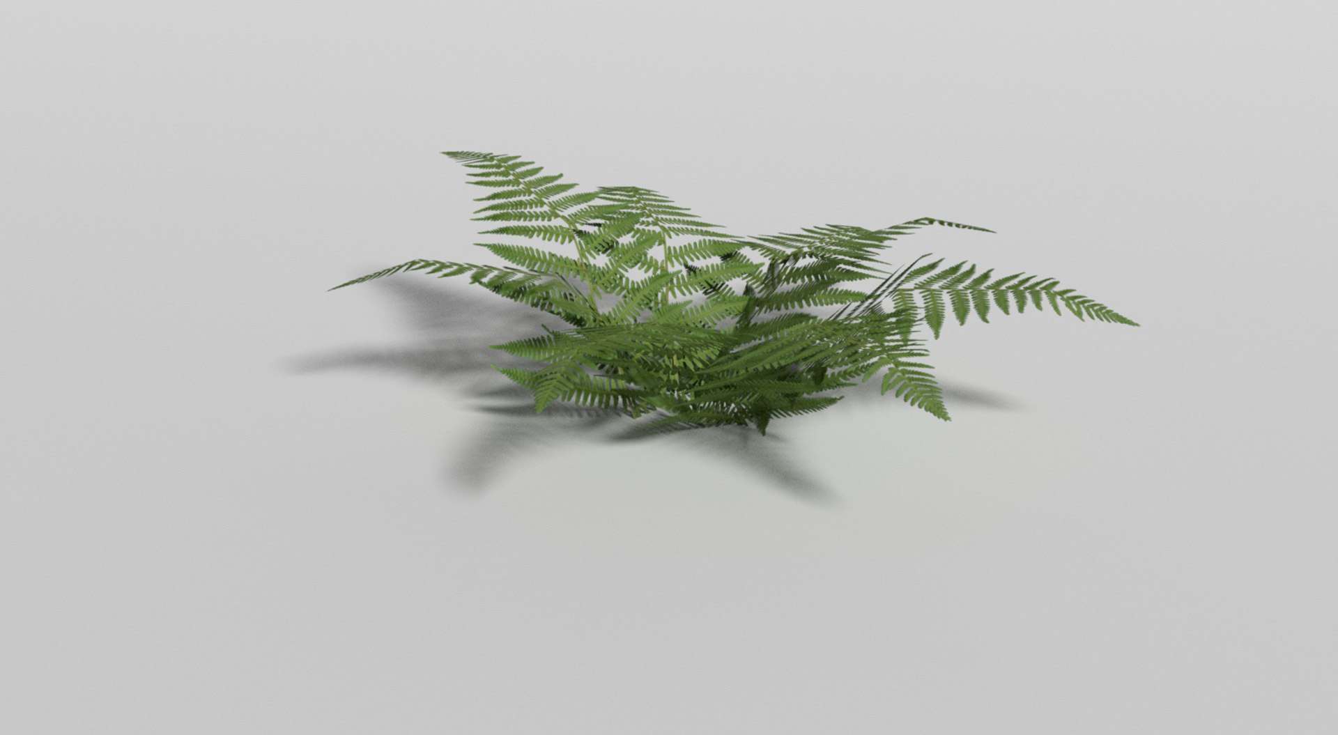 plants games blend https://p.turbosquid.com/ts-thumb/wb/pBaq95/L09Z31wv/fern/jpg/1489325382/1920x1080/fit_q87/465a5b03a8a5d307e70fda30fd92aa9369d6dd34/fern.jpg