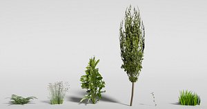 plants games blend