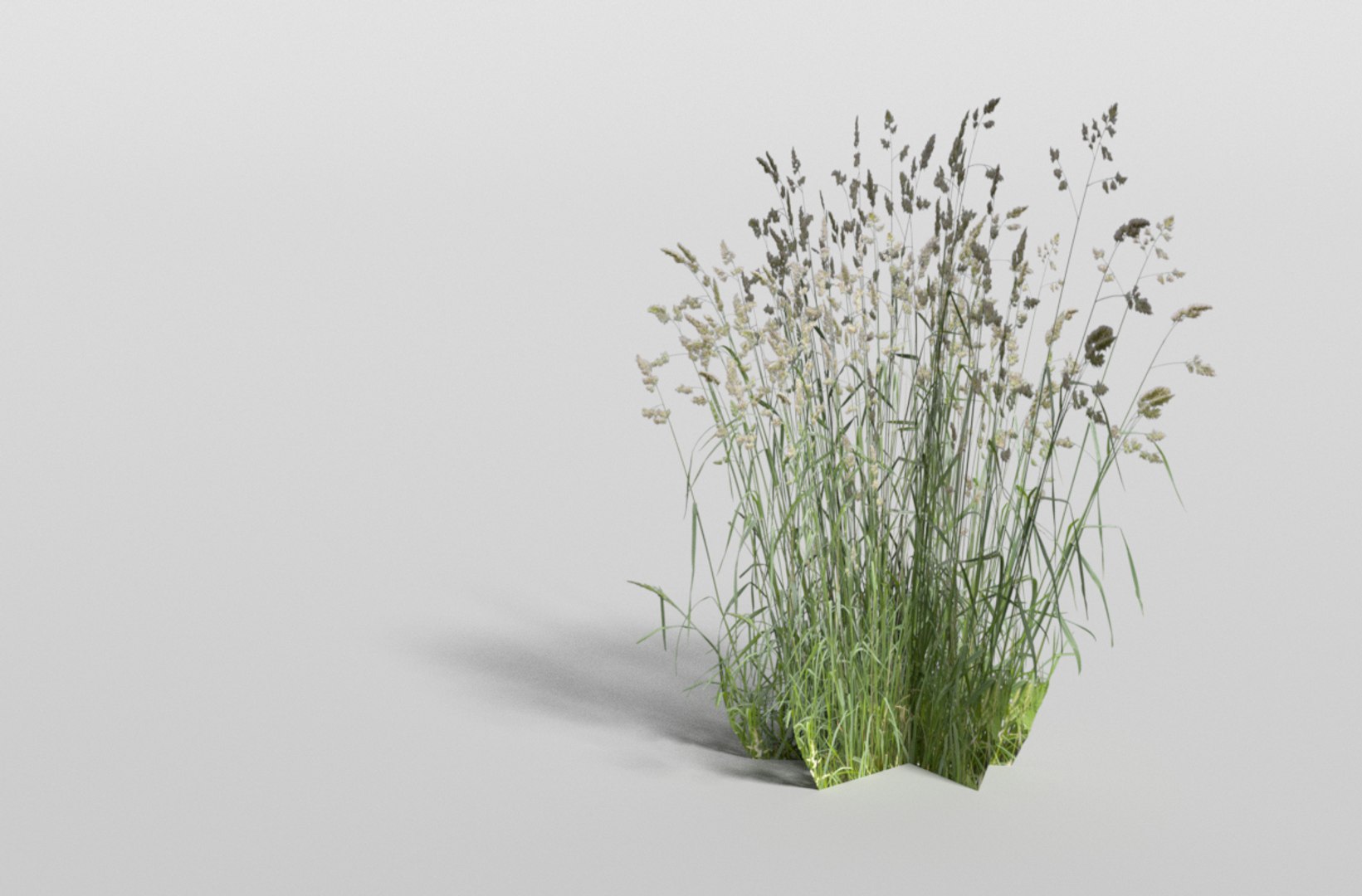 plants games blend https://p.turbosquid.com/ts-thumb/wb/pBaq95/Q4xwUHEF/flowerbush/jpg/1489325382/1920x1080/fit_q87/2ab2c2d08bea2c5f864049b8f3311f5e66441623/flowerbush.jpg