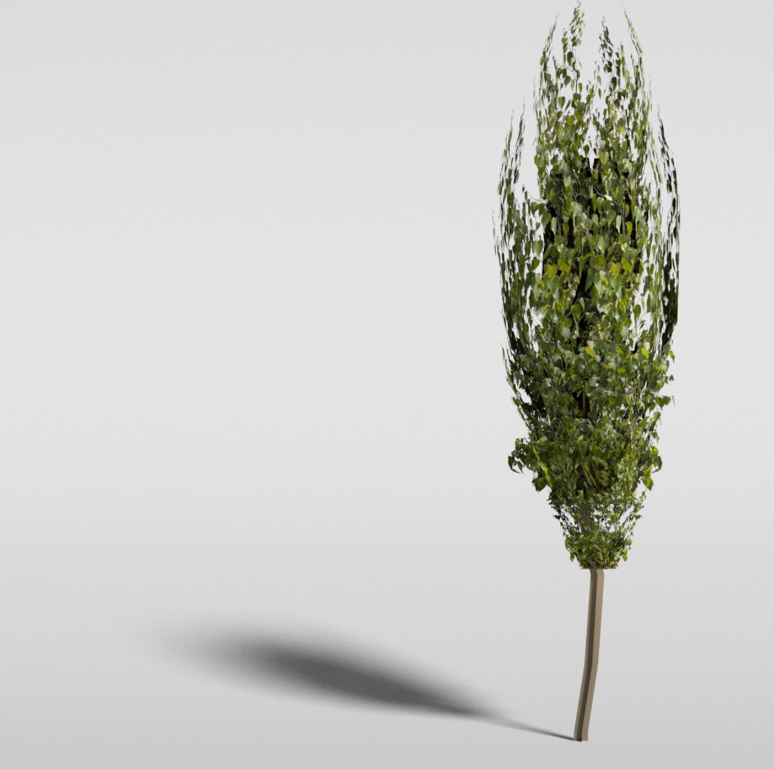 plants games blend https://p.turbosquid.com/ts-thumb/wb/pBaq95/ZaqsPfGw/tree/jpg/1489325382/1920x1080/fit_q87/b7fc0d0743245f56b6cf9536c6c702645a2e943b/tree.jpg