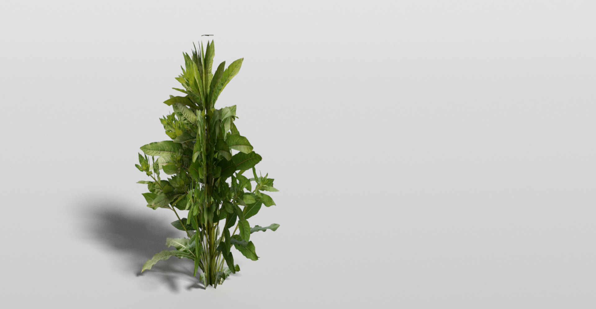 plants games blend https://p.turbosquid.com/ts-thumb/wb/pBaq95/szguDE0E/smalltree/jpg/1489325382/1920x1080/fit_q87/f773c4ff1b93336e101a0c7e071d0284c12ac210/smalltree.jpg