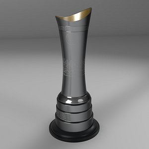 Womens British Open Trophy L207