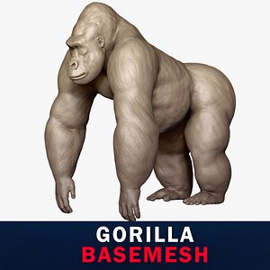 Gorilla Base Mesh 3D model 3D model