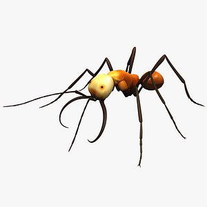 3d army ant insect