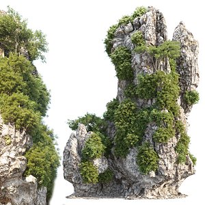 Karst Cliff with Vegetation 3D Model Vol 329