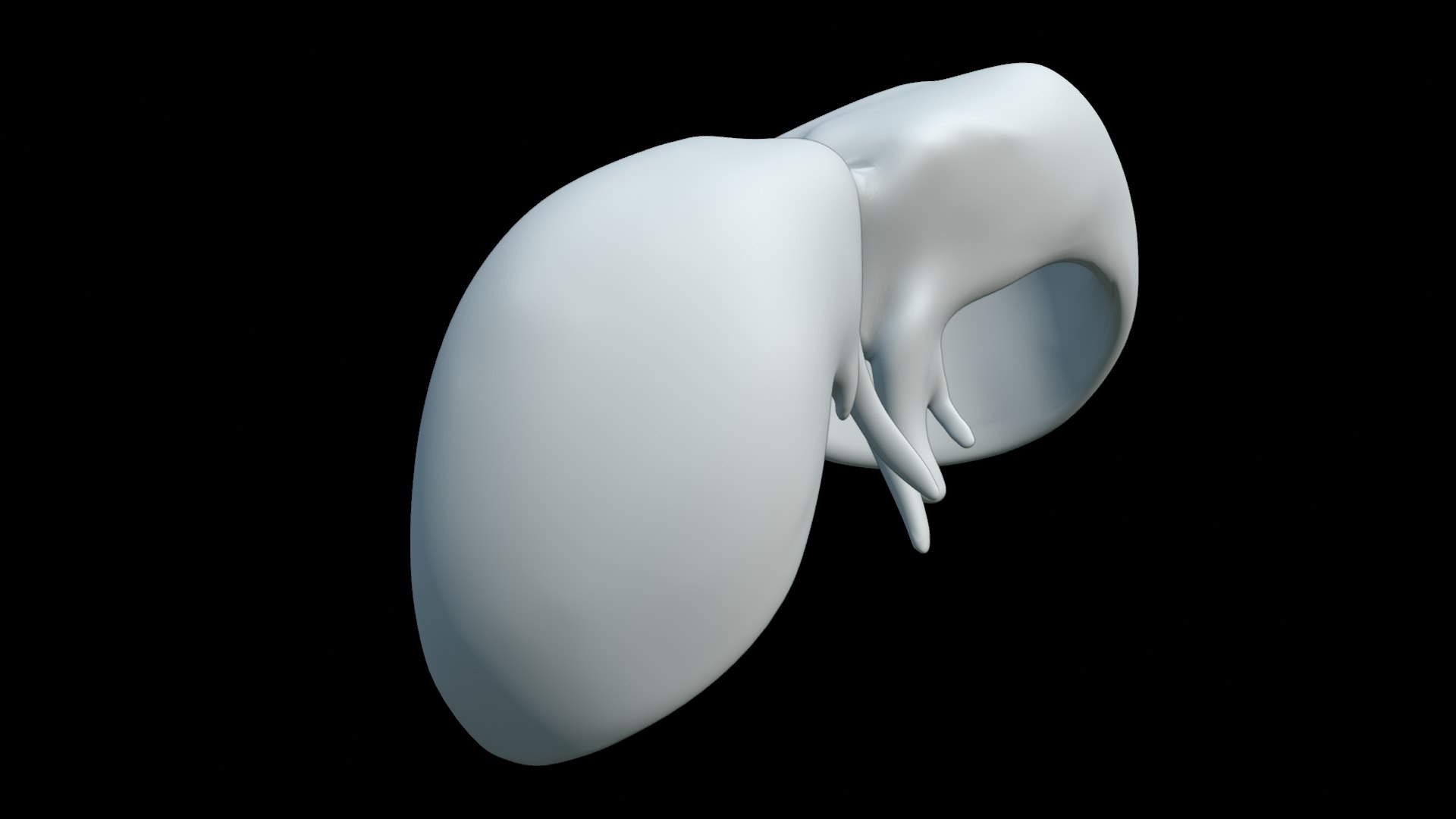Human Diaphragm Anatomy 3D Model 3D Model - TurboSquid 2638175