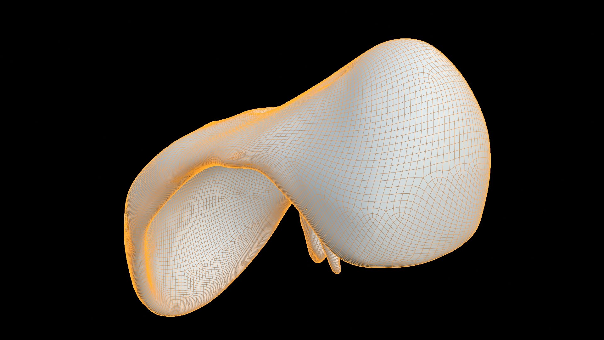 Human Diaphragm Anatomy 3D Model 3D Model - TurboSquid 2638175