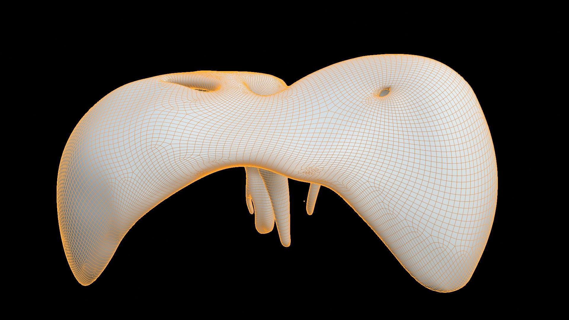 Human Diaphragm Anatomy 3D Model 3D Model - TurboSquid 2638175