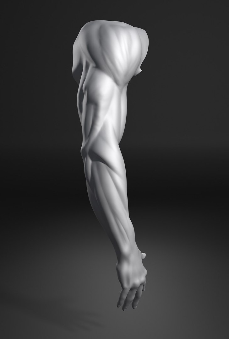 Male Arm Max