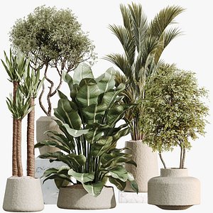 3D AV Indoor Plants Set 480 Olive Palm ParadiseBird Yucca