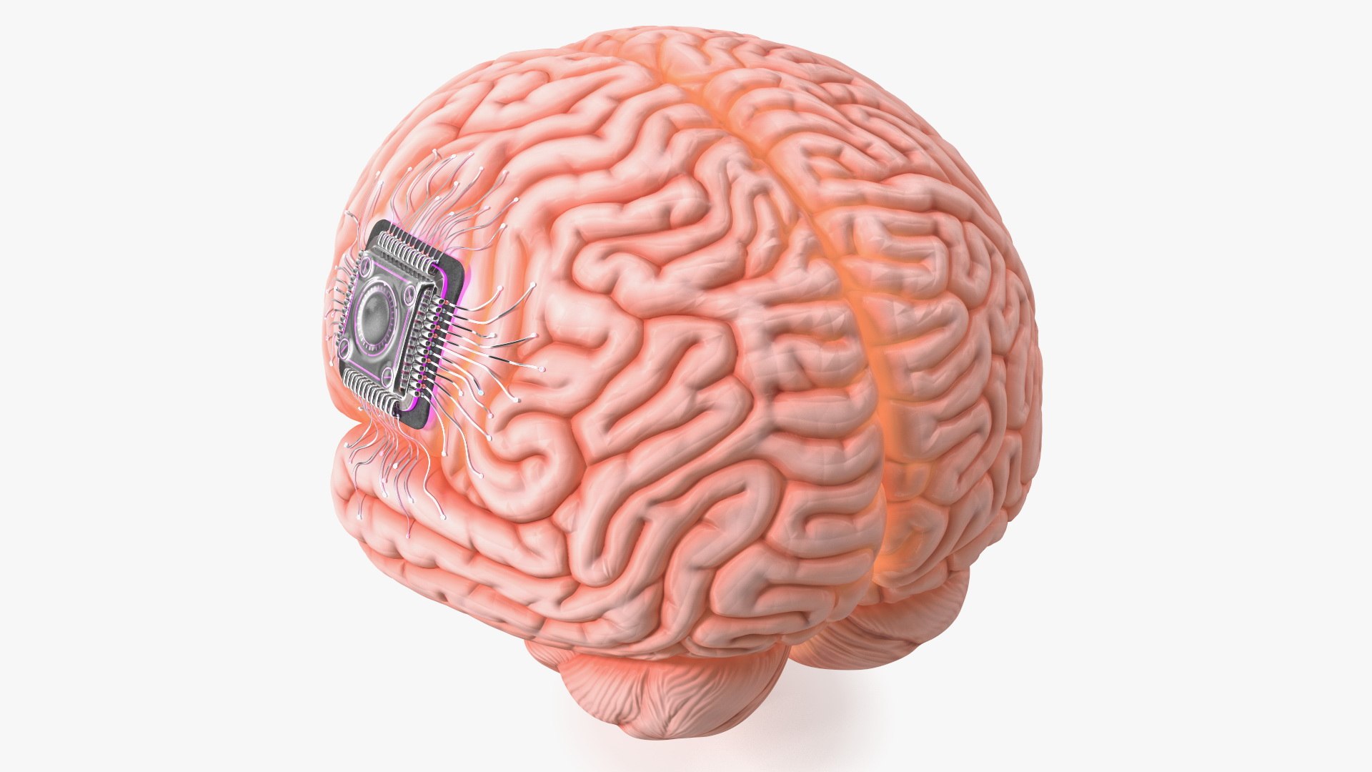 Human Brain With Implanted Microchip Lighted 3D model https://p.turbosquid.com/ts-thumb/wc/ruzF3j/4H/humanbrainwithimplantedmicrochiplighted3dsmodel011/jpg/1722855083/1920x1080/fit_q87/cd0d3fde95a154a6db10a5543974af371b3e01cd/humanbrainwithimplantedmicrochiplighted3dsmodel011.jpg