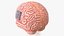 Human Brain With Implanted Microchip Lighted