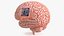 Human Brain With Implanted Microchip Lighted