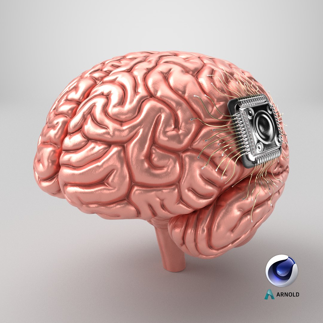 Human Brain With Implanted Microchip Lighted 3D model https://p.turbosquid.com/ts-thumb/wc/ruzF3j/G9/stemcell_cinema_4d_arnold_render/png/1726218278/1920x1080/fit_q87/cfcddf72b3b1bc12e597d1934d73cadfc16a158b/stemcell_cinema_4d_arnold_render.jpg